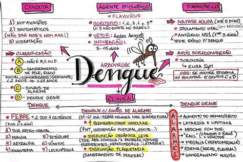 Diagrama De Controle Dengue Healthcare Professionals Consum