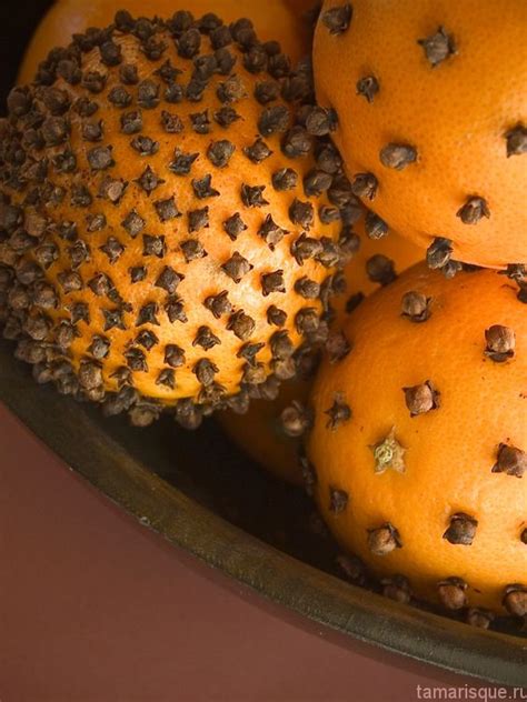 Что такое помандер и как его сделать | Tamarisque