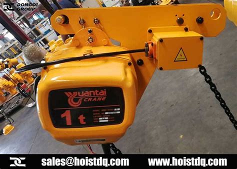 Chain Hoist: 1 Ton Low Headroom Electric Chain Hoist for Serbia | Dongqi Hoist and Crane