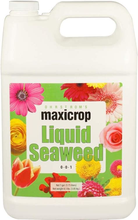 Amazon Maxicrop Liquid Seaweed Kelp Extract Oz Liquid Kelp