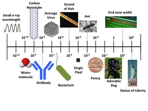 Nanomaterials that inhibit bacterial growth – ScIU