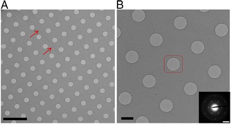 General And Robust Covalently Linked Graphene Oxide Affinity Grids For