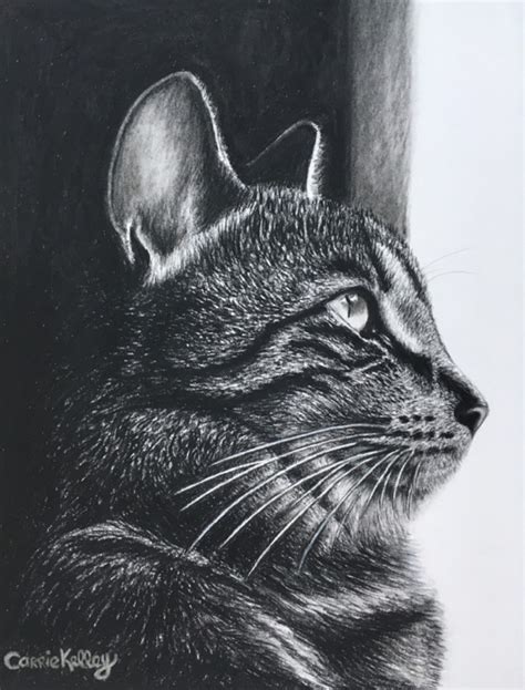 Tabby Cat Sketch at PaintingValley.com | Explore collection of Tabby ...