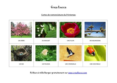 Carte nomenclature printemps par Aurélie BEC Fichier PDF