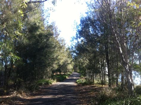 Parramatta River Walk at Sydney Olympic Park