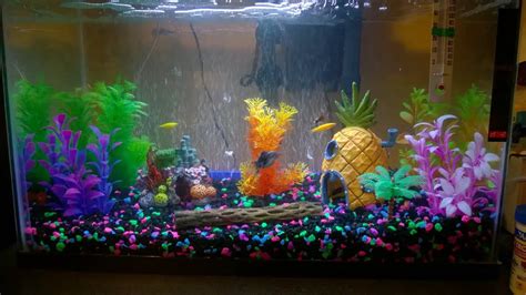 DIY Aquarium Caves Ideas (Functional And Natural-Looking) – MeekBond