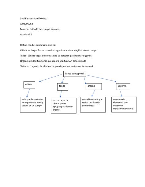 Act Cuerpo Humano Activifad De Valores Saul Eleazar Alamillo