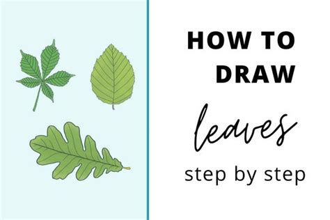 How To Draw Leaves Easy Step By Step Tutorials Bullet Journal Monthly