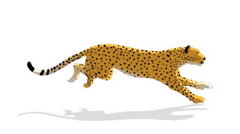 Running Cheetah Animated Gif