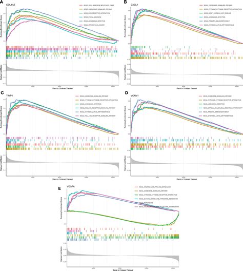 Frontiers Diagnostic Model Constructed By Five Emt Related Genes For