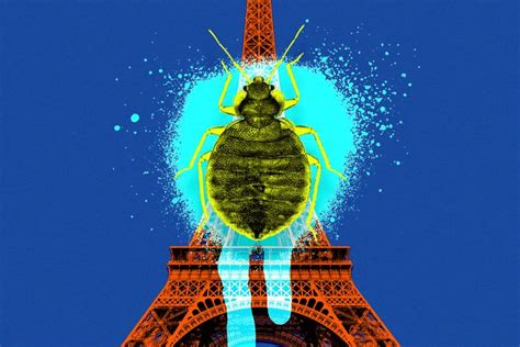 Will Paris Fashion Week Bedbugs Follow Travelers to NYC?