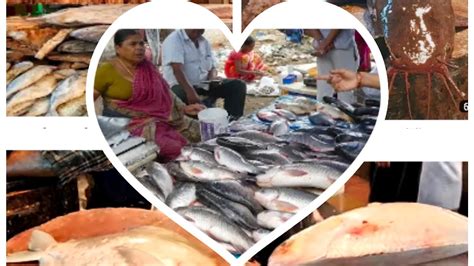 Boisar Fish 🐠 Market Mumbai Blog Youtube