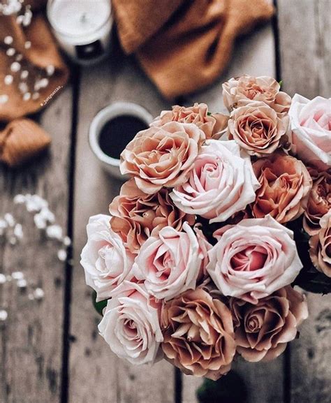 Flowers Shared By Jαcoʍ𝒊𝓃𝕖 ♕ On We Heart It Flower Aesthetic Rose