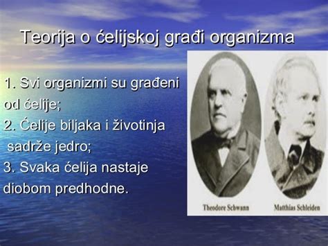 ćElija prezentacija