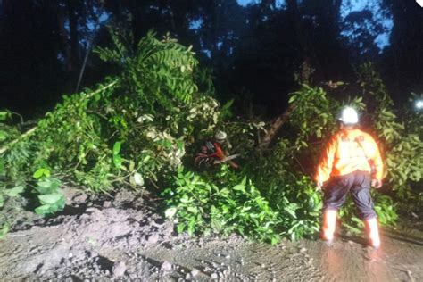 Longsor Dan Pohon Tumbang Di Jalur Gumitir Akibatkan Kemacetan Panjang