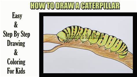 How To Draw And Color A Caterpillar How To Color With Color Pencil