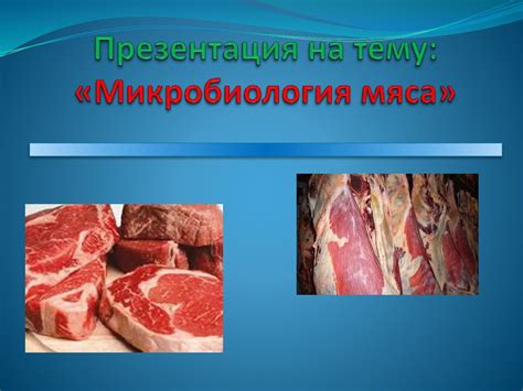Микробиология мяса - презентация онлайн