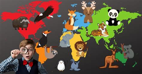 The Seven Continents and Their Animals