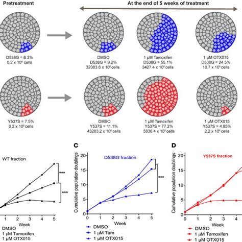 Otx015 Suppresses Growth Of T 47d Cells Expressing Esr1 Y537s Mutation