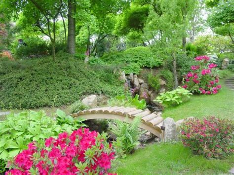 How to create an Eco-Friendly garden