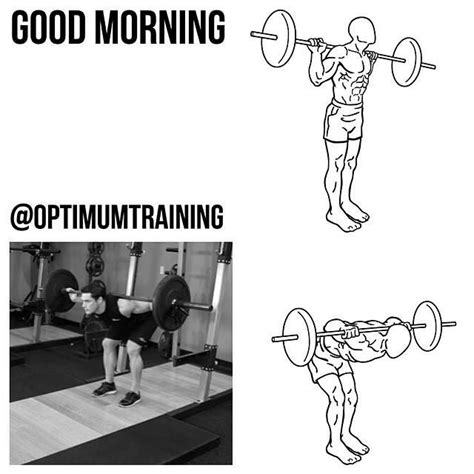 5 593 Me Gusta 17 Comentarios Gym Memes Optimumtraining En