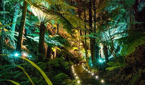 Gallery Australia S Top 10 Botanic Gardens Australian Geographic