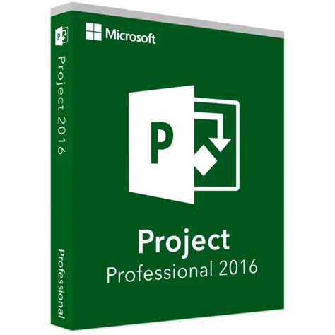 Buy Microsoft Project Professional Flixeasy