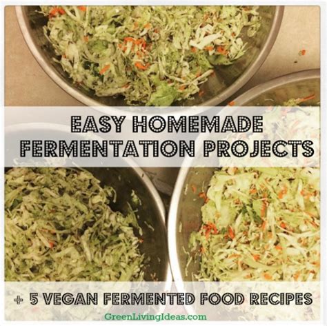 Easy Fermentation Projects + 5 Vegan Fermented Food Recipes - Green ...