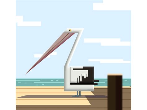 Pelecanidae By Mypromovideos On Dribbble