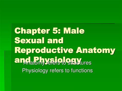 Ppt Chapter 5 Male Sexual And Reproductive Anatomy And Physiology Powerpoint Presentation