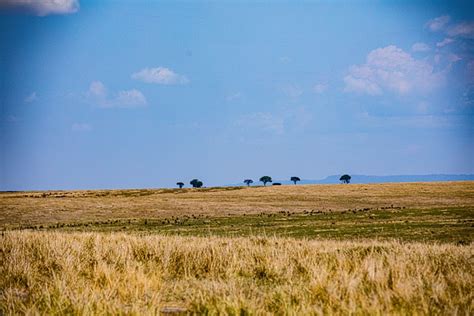 Grassland Meadow Hills - Free photo on Pixabay - Pixabay