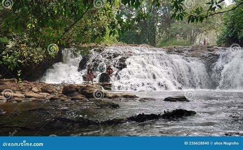 Children Playing at Waterfall Borneo Forest Editorial Image - Image of ...