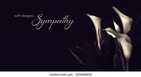 Sympathy Card Calla Lily Flowers Stock Photo 1920458654 Shutterstock