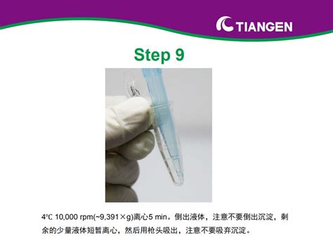 Trnzol Universal 总 Rna 提取试剂操作指南（dp424）——动物组织 丁香实验