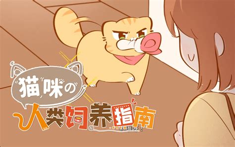 猫咪的人类饲养指南 动态漫第39集 国创 全集 高清正版在线观看 Bilibili 哔哩哔哩