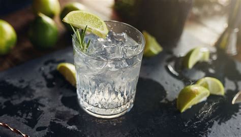 C Mo Hacer El Gin Tonic Perfecto Topic Magazine