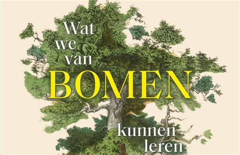 Wat We Van Bomen Kunnen Leren De Tuin In Vier Seizoenen