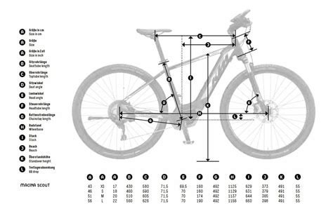 Fahrrad Richtige Rahmenh He Bestimmen