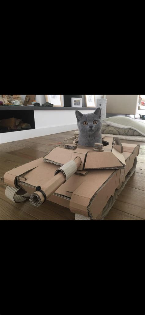 Cats Driving Tanks