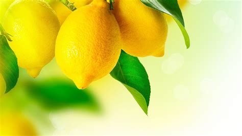 Lemons Wallpapers Top Free Lemons Backgrounds Wallpaperaccess