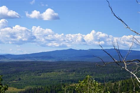 High on a ridge looking out at the "Rabbit Ears" of Rabbit Ears Pass.