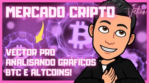 Vector Pro O Bitcoin Vai Continuar Subindo Como Fazer An Lise Do