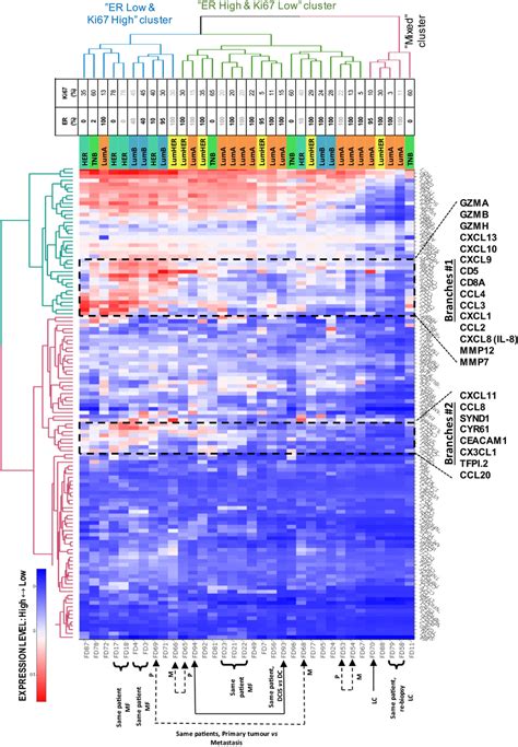 Heatmaps Of Protein Expression For The Patient Samples Two‐dimensional