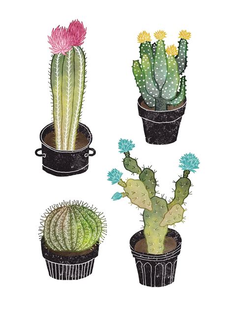 Cactus Illustration By Sanny Van Loon Cactus Cacti Cactuses With