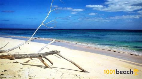 Strand Whiteland Eleuthera