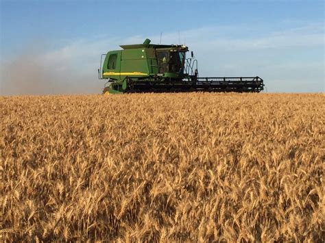 Eastern Australian Harvest Intake Hits 1 8mt Graincorp Viterra Grain Central