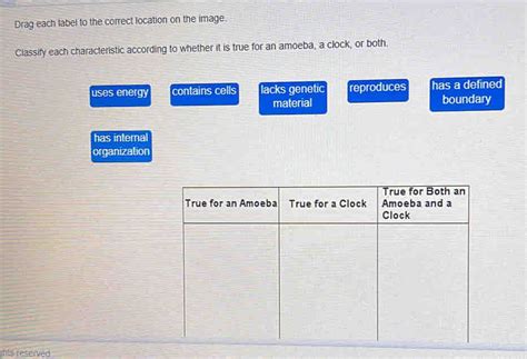 Drag Each Label To The Correct Location On The Image Classify Each