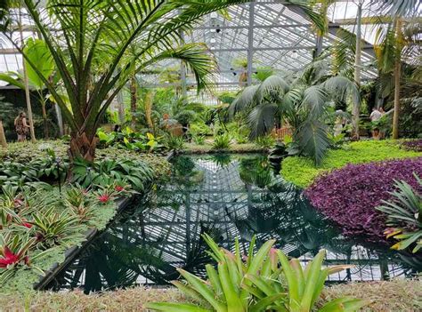 Exploring the Hidden Gems of Garfield Park Conservatory