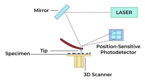 Microscopy - GeeksforGeeks