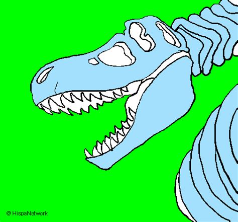 Disegno Scheletro Di Tyrannosaurus Rex Colorato Da Utente Non